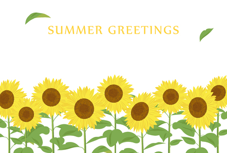 Summer greeting card of sunflowerのイラスト素材