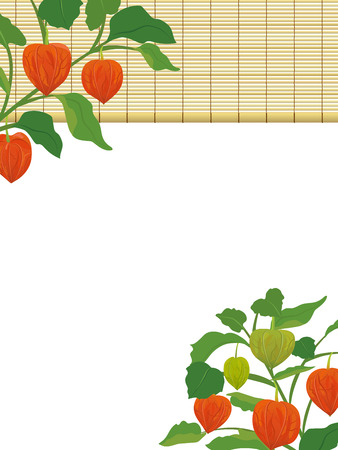 Chinese lantern plants and bamboo blind frameのイラスト素材