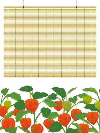 Chinese lantern plants and bamboo blind frameのイラスト素材