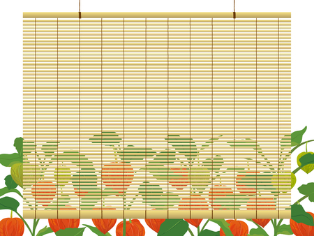 Chinese lantern plants and bamboo blind frameのイラスト素材