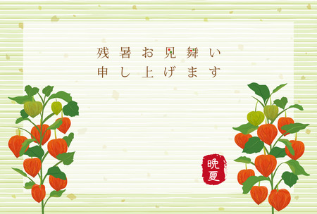 Japanese late-summer greeting card of chinese lantern plantsのイラスト素材