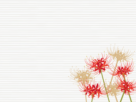 A cluster amaryllis flower vector frame.のイラスト素材