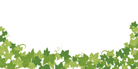 Fresh ivy leaves vector frame.のイラスト素材