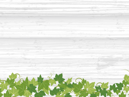 Fresh ivy leaf vector frame on wooden texture background.のイラスト素材