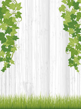 Fresh ivy leaf vector frame on wooden texture background.のイラスト素材