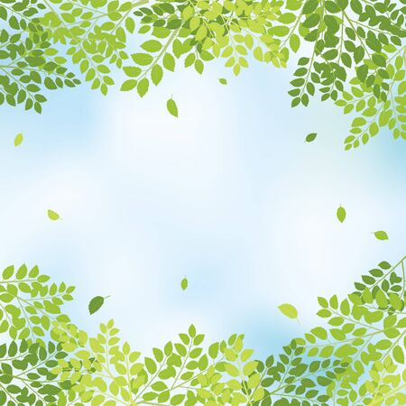 Fresh leaf vector frame.のイラスト素材