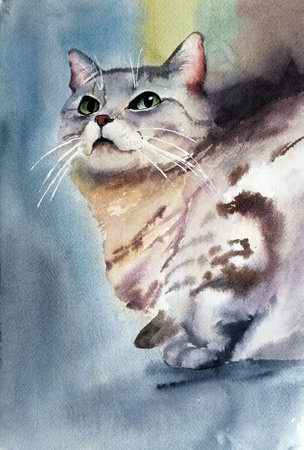 a beautiful British cat on grey background close-up watercolor illustrationの写真素材