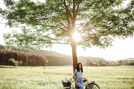 The girl walks with a puppy in a field in a bicycle in the back of warm, sunny lightの写真素材