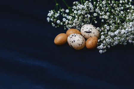 gipsophila and small eggs on simple gray background with place for textの写真素材