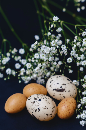 gipsophila and small eggs on simple gray background with place for text