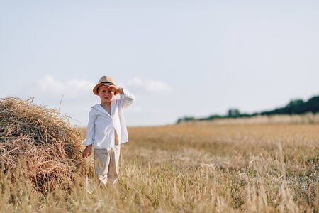 blond little boy in straw hat playing in field on mowed hay. summer, sunny weather, farming. happy childhood. sunny.の写真素材