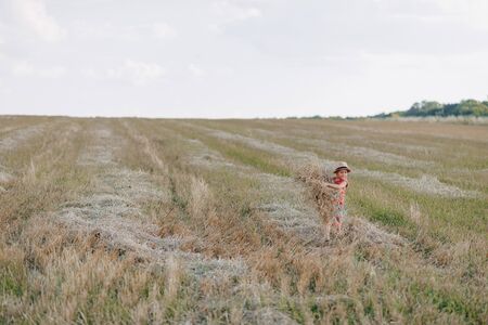 blond little boy playing hay in the field. summer, sunny weather, farming. happy child.の写真素材