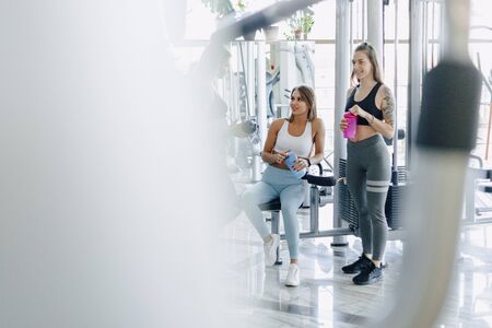 attractive girls in sportswear at the gym communicate. sports life and fitness atmosphere. healthcare.の写真素材