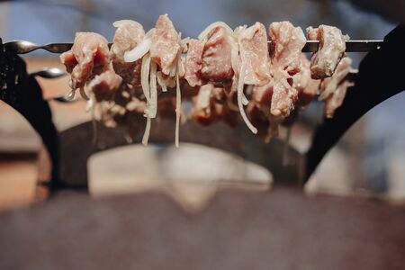 barbecue on the grill in nature. cooking on fire. fried meat and tasty food.の写真素材