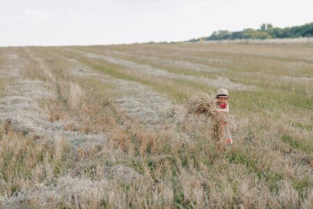 blond little boy playing hay in the field. summer, sunny weather, farming. happy child.の写真素材