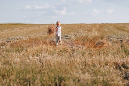 blond little boy playing hay in the field. summer, sunny weather, farming. happy child.の写真素材