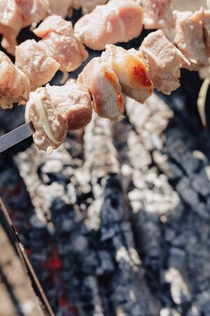 barbecue on the grill in nature. cooking on fire. fried meat and tasty food.の写真素材