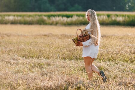 A pretty blond woman with long hair in a field at sunset carries a fruit basket and a bouquet of straw. summer, farming, nature and fresh air in the countryside. sunny.の写真素材