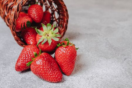 juicy strawberries poured out chaotically on a concrete light background. delicious fruits in summer season. natural products and natural resources. simple picture.の写真素材