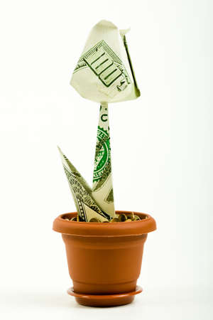 Image of flower made of dollars on a white backgroundの写真素材
