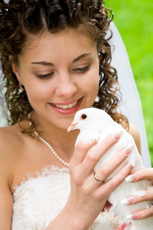 Image of white dove in pretty brides hands の写真素材
