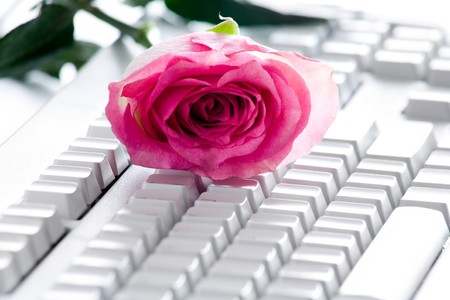Photo of pink rose bud lying on white computer boardの写真素材