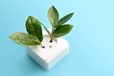 Image of two green sprouts growing in electric socket over blue backgroundの写真素材