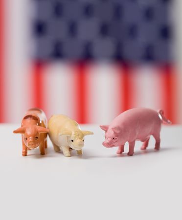 Photo of three toy pigs symbolizing new virus of swine fluの写真素材