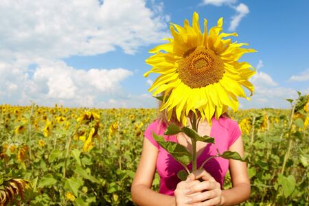 young woman hiding face behind sunflower in meadowの写真素材