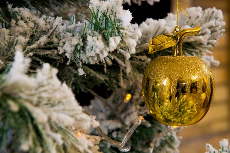 Close-up of golden apple hanging on branch of Christmas fir tree decorated with artificial snowの写真素材