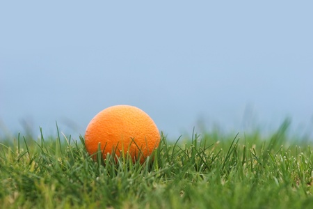 Image of ripe orange in green grass with blue sky at backgroundの写真素材