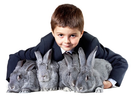 Image of smiling boy holding grey rabbits and looking at cameraの写真素材