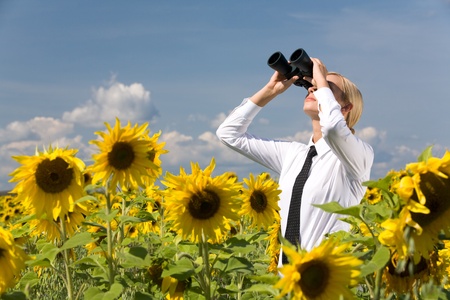 Smart woman watching upwards through field-glass among sunflowersの写真素材