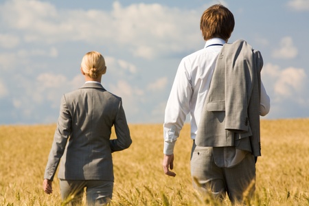 Rear view of associates in suits walking in wheat fieldの写真素材