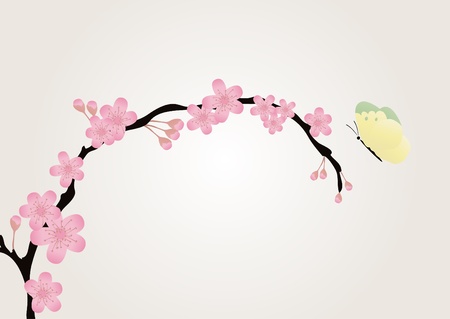 Vector illustration of cherry-tree branch isolated on pink with a butterfly fluttering over it のイラスト素材