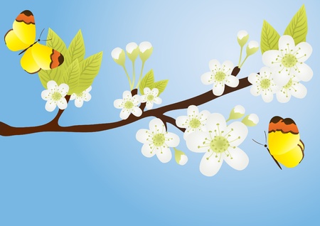 Vector illustration of apple-tree branch with butterflies over it isolated on blueのイラスト素材