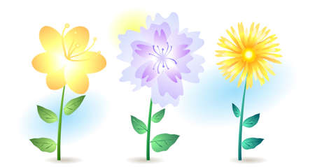 Vector illustration of three summer flowers isolated on whiteのイラスト素材