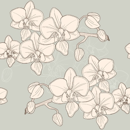 Seamless pattern with pink orchid, vectorのイラスト素材