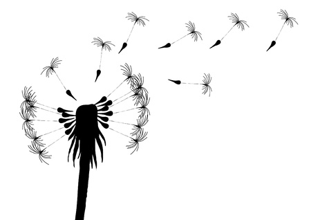 Vector illustration of blowing dandelion on a white background  のイラスト素材