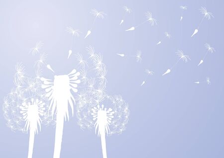 Vector illustration of fragile dandelions on windy day  のイラスト素材