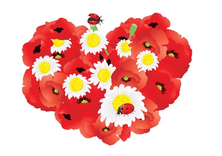 Vector illustration of bright poppies and chamomiles heart  のイラスト素材