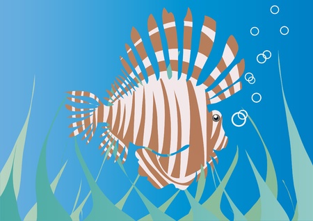 illustration of sea hedgehog under water     のイラスト素材