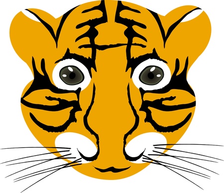 illustration of tiger baby head isolated on a white background のイラスト素材