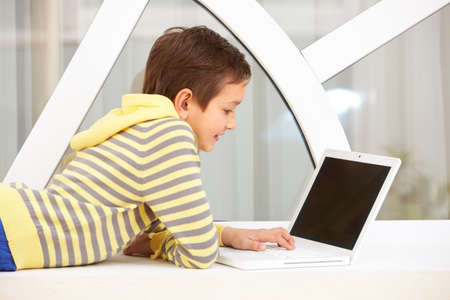 Portrait of smart schoolboy typing on laptop