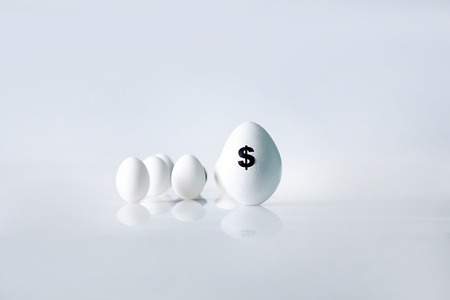 Image of big white egg with dollar sign on background of small eggsの写真素材