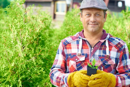 Happy mature man holding sprout and looking at cameraの写真素材