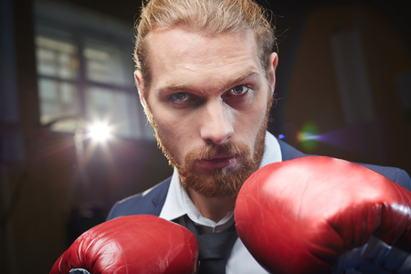 Bearded businessman in boxing gloves looking at cameraの写真素材