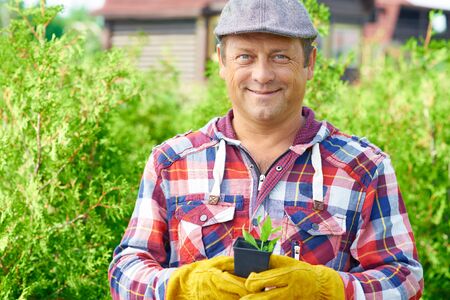 Portrait of mature man with seedling in handsの写真素材