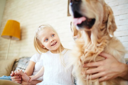 Cute little girl looking at dogの写真素材