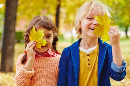 Happy little friends with yellow maple leavesの写真素材